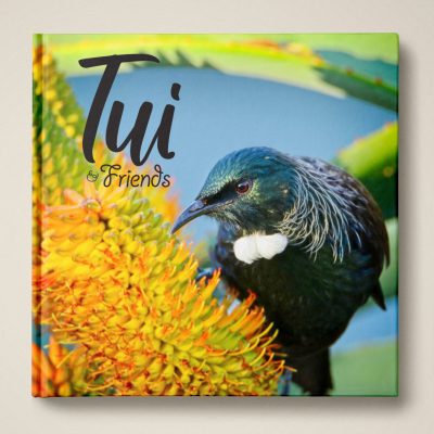Nature Me Now - Tui & Friends Book Cover