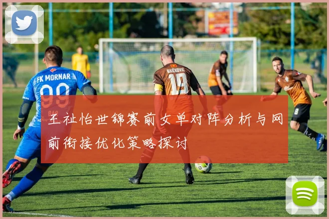 王祉怡世锦赛前女单对阵分析与网前衔接优化策略探讨