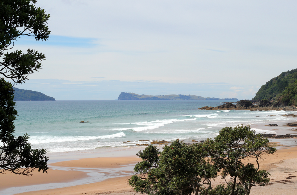 Coromandel Journey Day 2