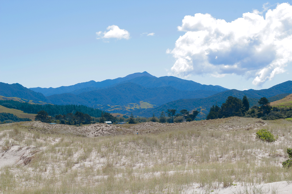 Coromandel Journey Day 3