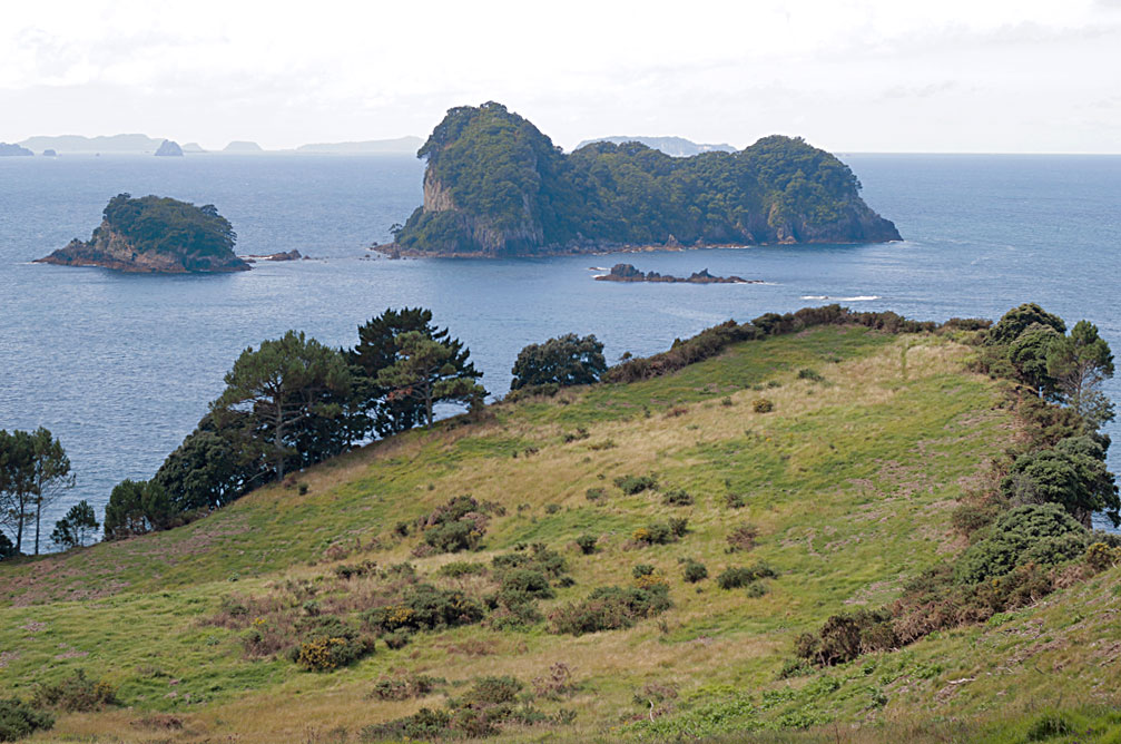 Coromandel Journey Day 3