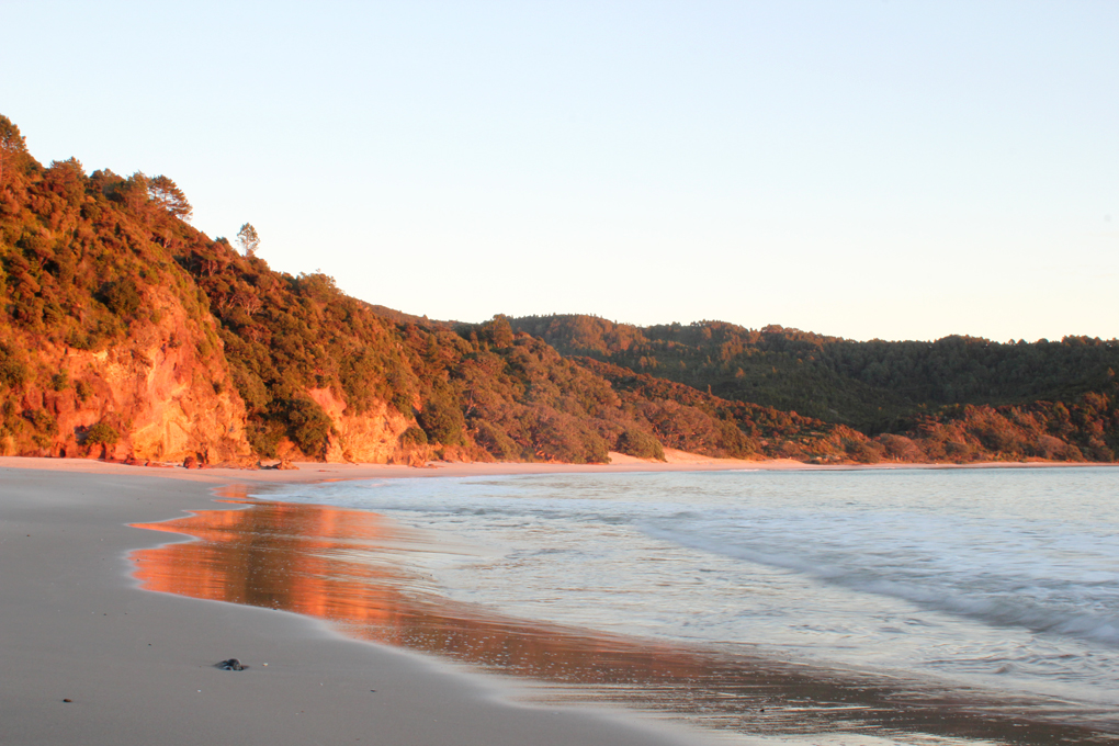 Coromandel Journey Day 4