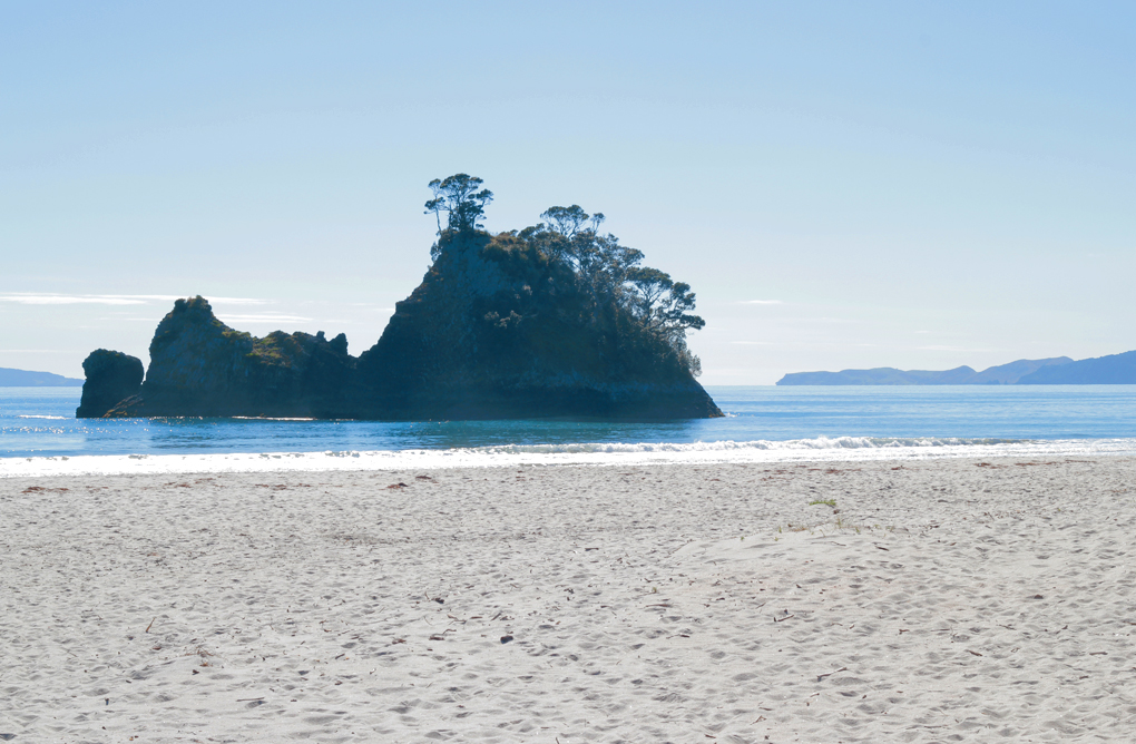 Coromandel Journey  Day 4